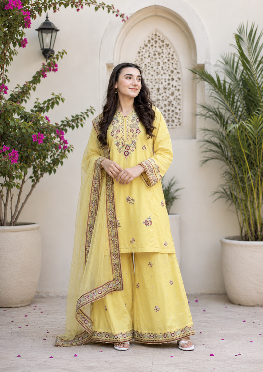 Noor e Zard 3 Piece